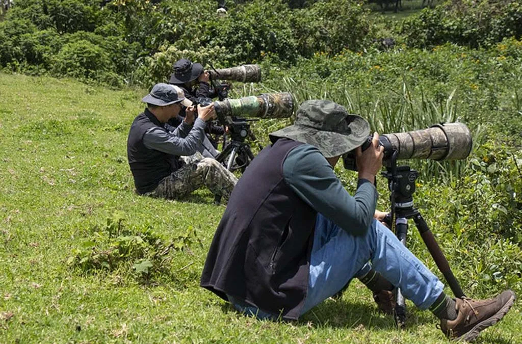 Premium Wildlife Safari