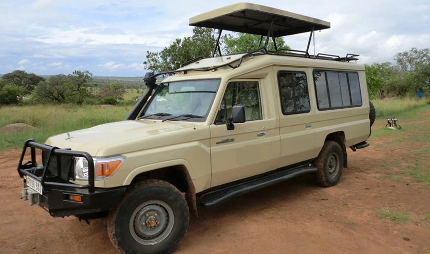 Luxury Gorilla Safari