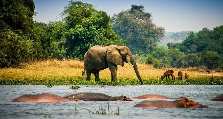 Murchison Falls